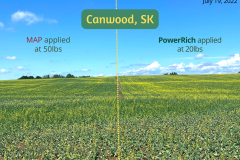 Canwood, SK - 1