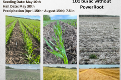 Wroxton, SK Trial - 2