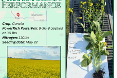 Togo SK, Canola  - 1