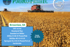 Copy of Flax Brownlee, SK 2025 - 1