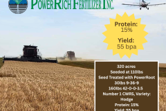 Copy of Wheat Brownlee, SK 2025 (Facebook Post) - 1