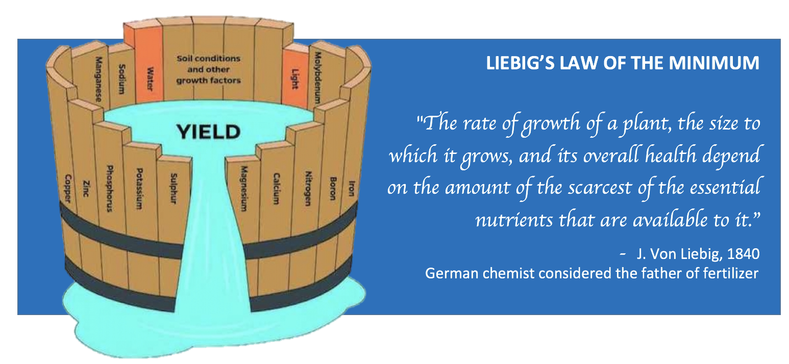 Liebig's Law of the Minimum: The rate of growth of a plant, the size to which it grows, and its overall health depend on the amount of the scarcest of the essential nutrients that are available to it. J Von Liebig, 1840. German chemist considered the father of fertilizer.
