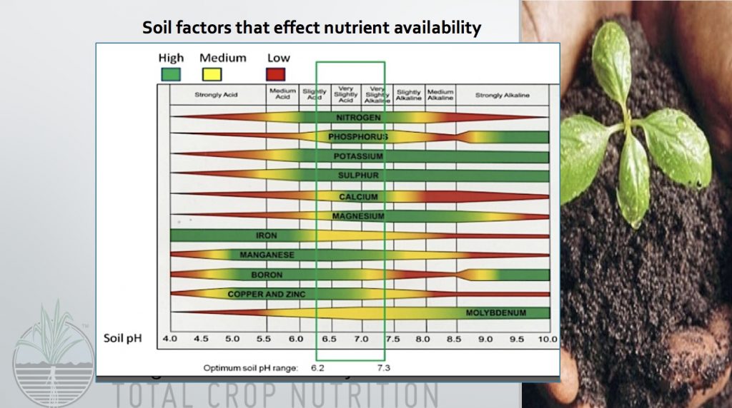 Soil ph for plants chart information