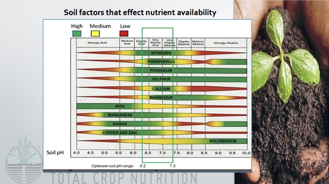 Soil, Ph And Nutrient Availability - PowerRich